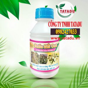 RUOC MAT CUA