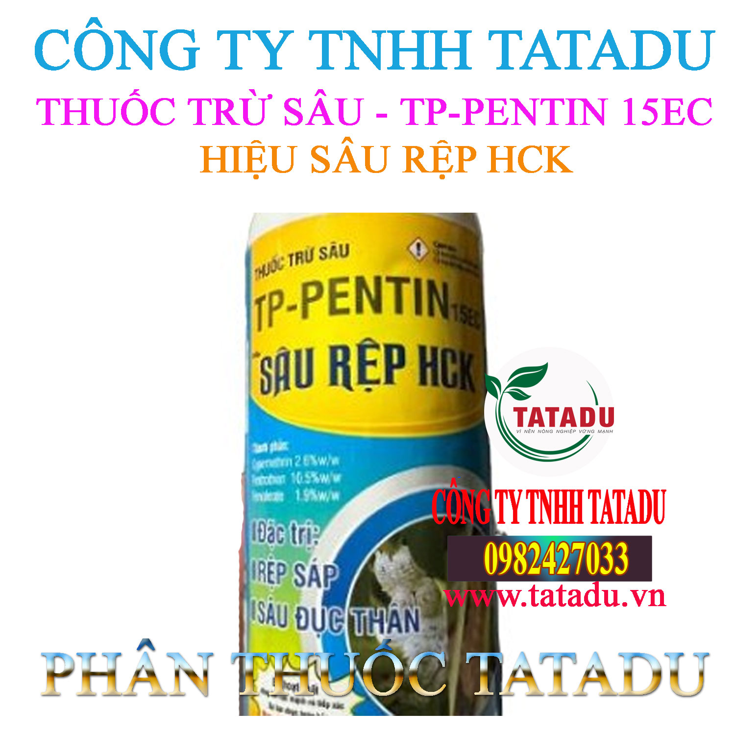 SAU REP HCK 2