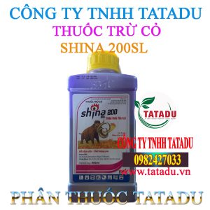 SHINA 200SL 1