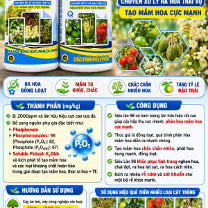 SIEU LAN 98
