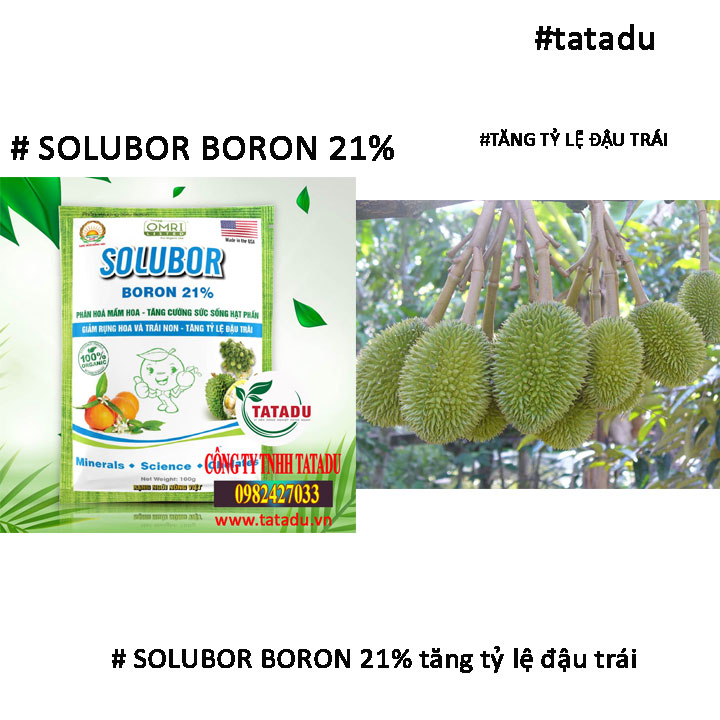 SOLUBOR BORON tang dau trai