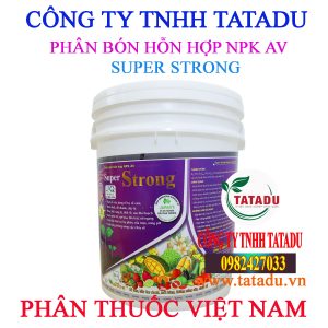 SUPER STRONG 2