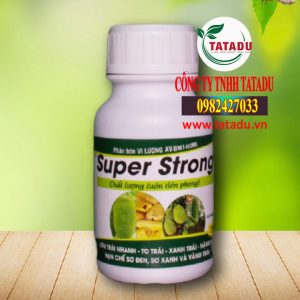 SUPER STRONG CHAI 250ML