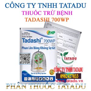 TADASHI 700WP HP