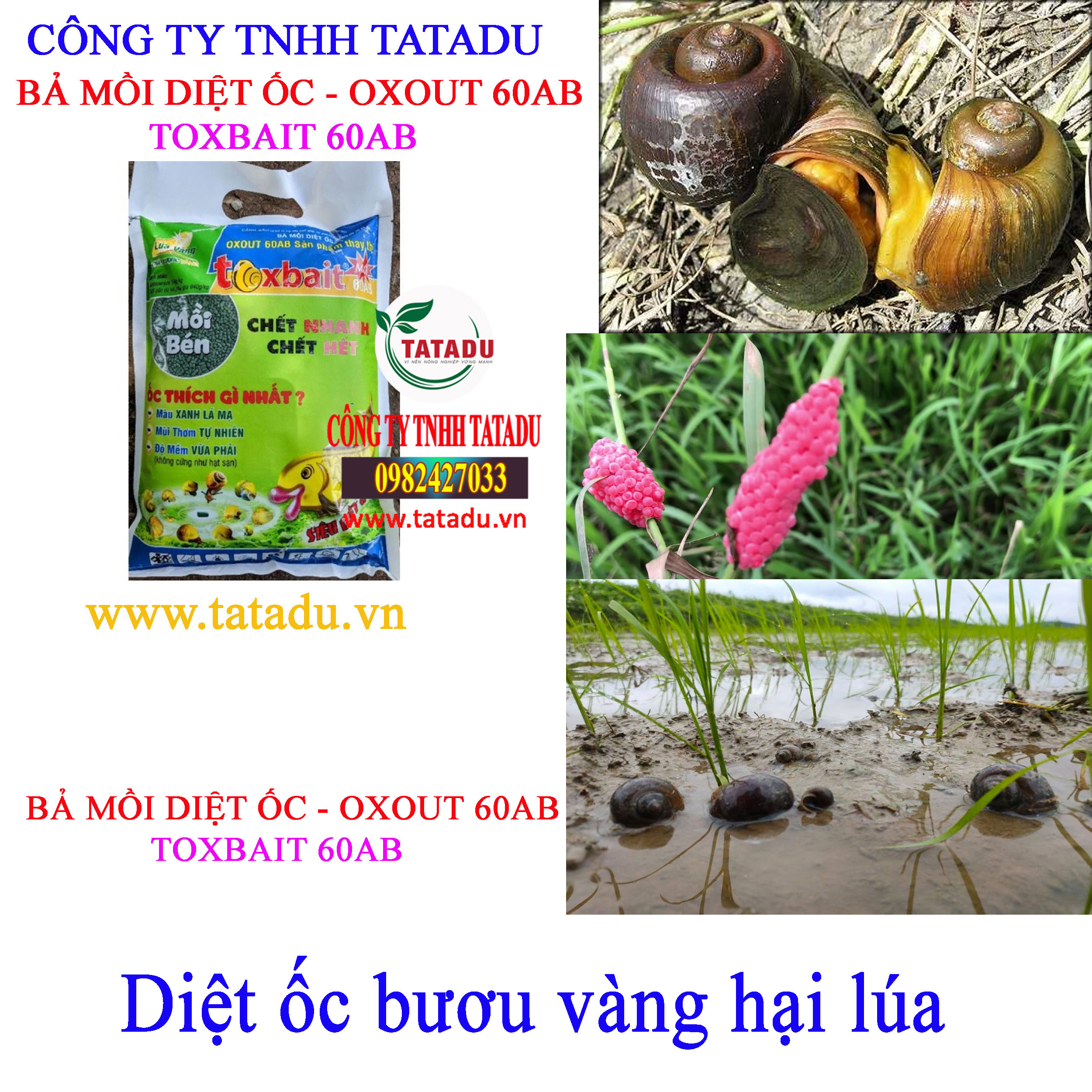 TOXBAIT 60AB diet oc buou vang TOXBAIT 60AB diet oc buou vang