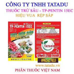 TP PENTIN 15EC