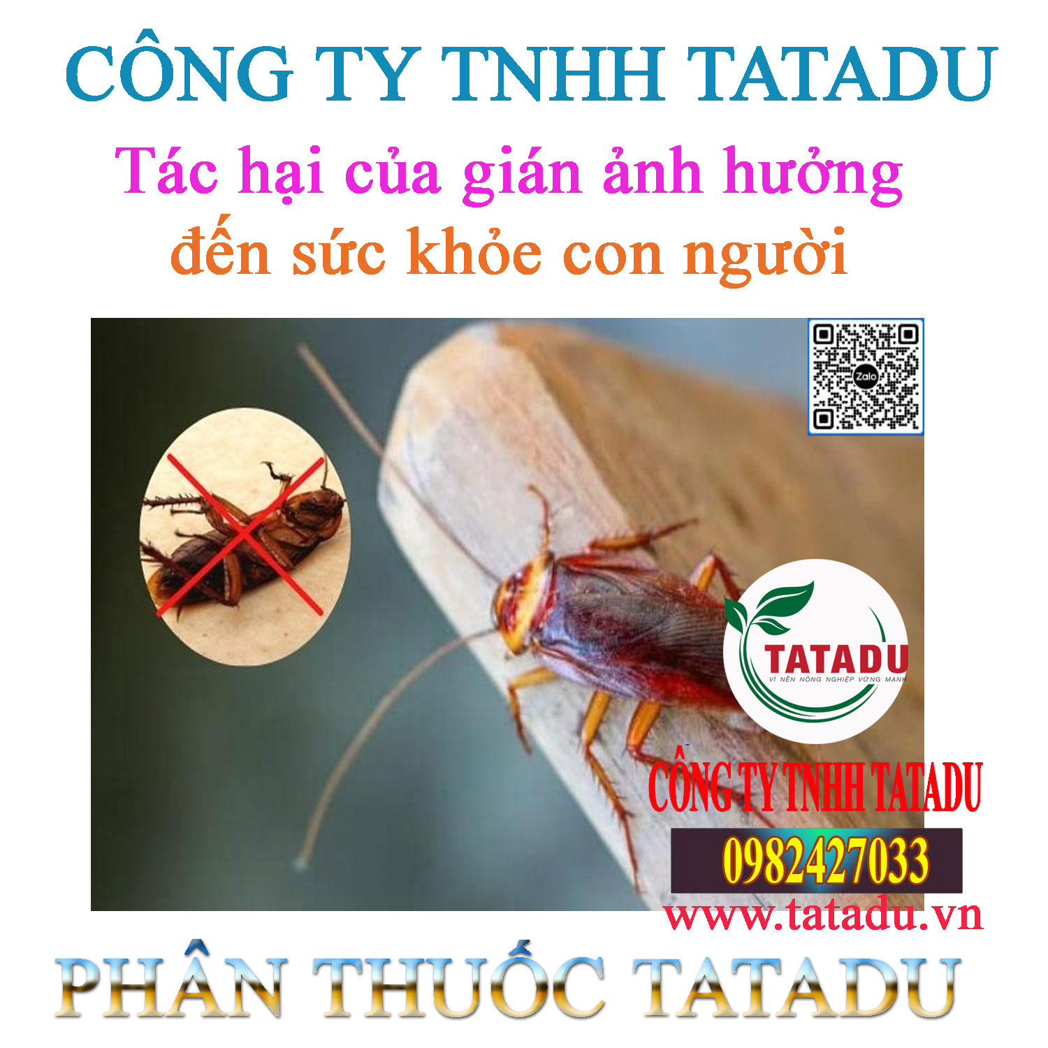 Tac hai cua gian anh huong den suc khoe con nguoi