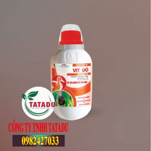 VIT DO CHAI