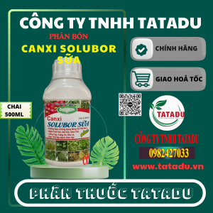 CANXI SOLUBOR SUA