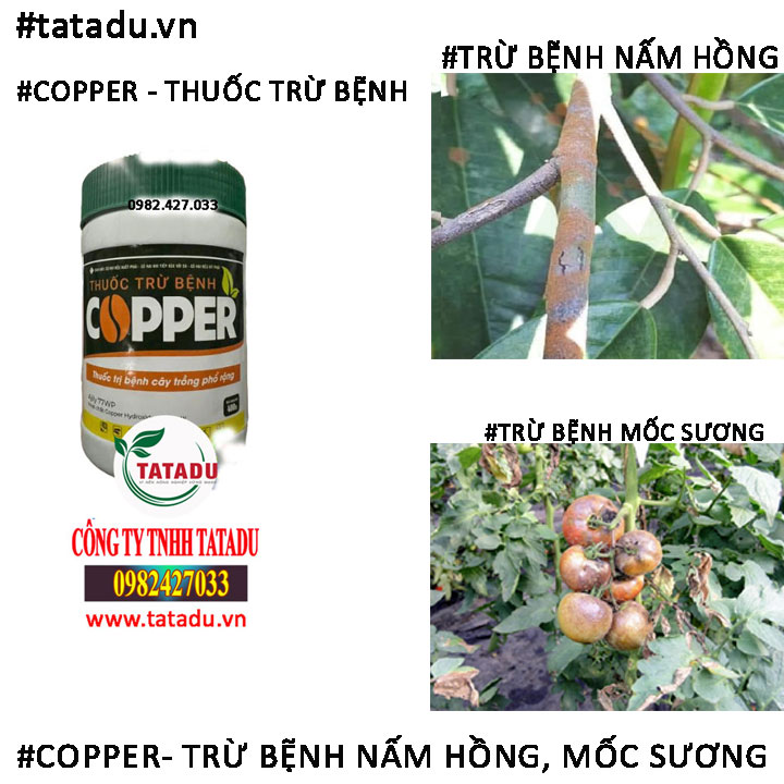 COPPER TRU MOC SUONG