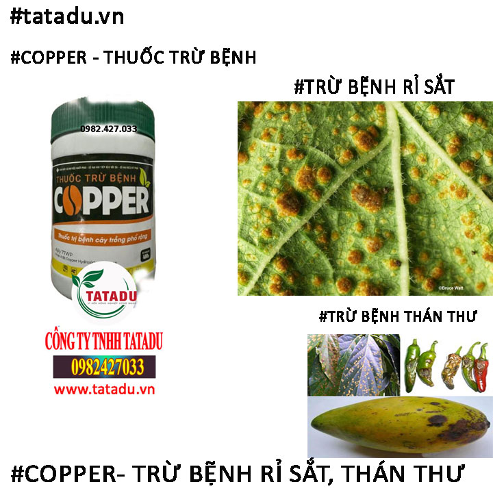 COPPER TRU THAN THU