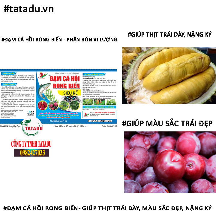 DAM CA HOI RONG BIEN MAU SAC TRAI DEP