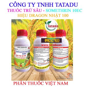 DRAGON NHAT 100