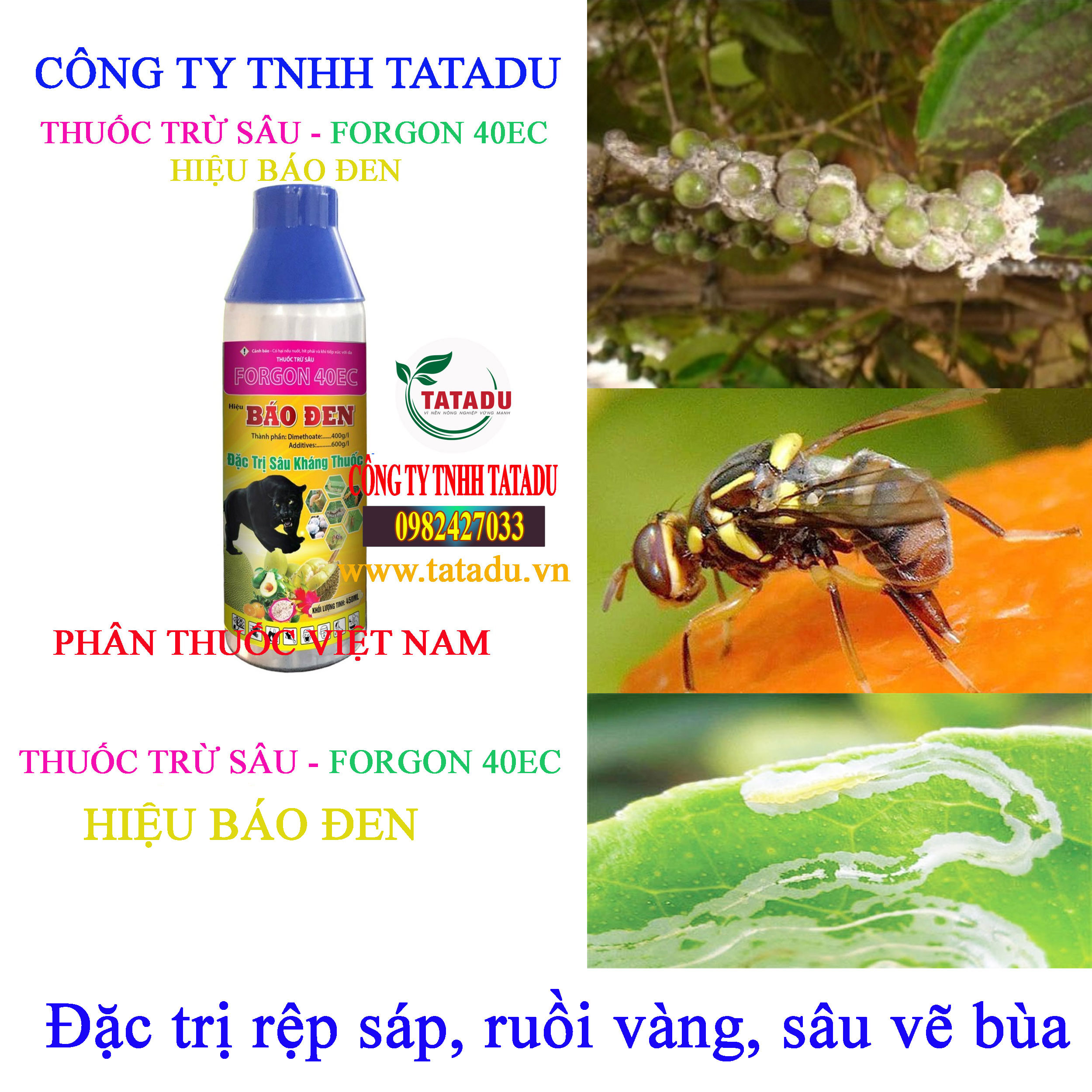 FORGON 40EC bao den ruoi vang FORGON 40EC bao den ruoi vang