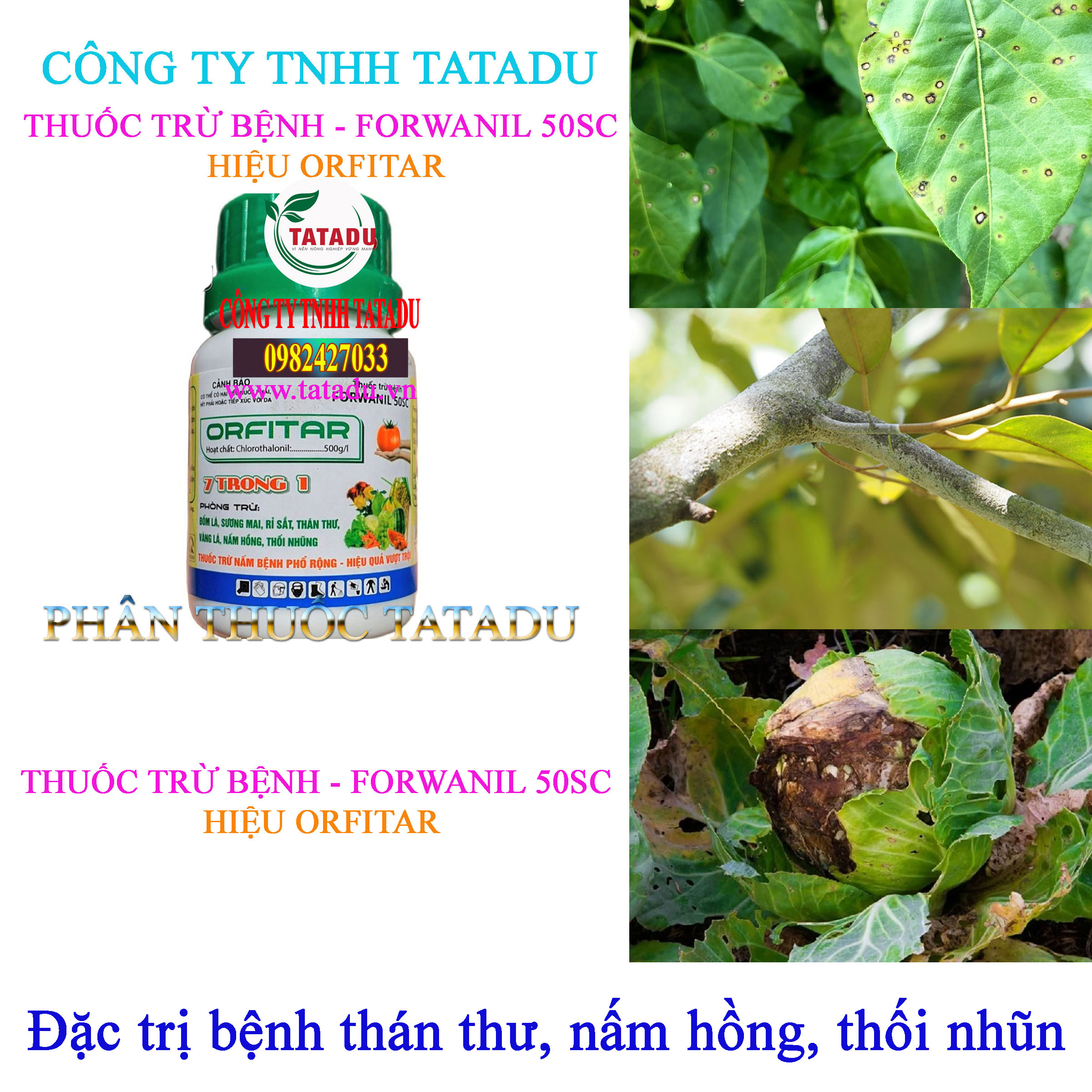 FORWANIL 50SC tru benh than thu FORWANIL 50SC tru benh than thu
