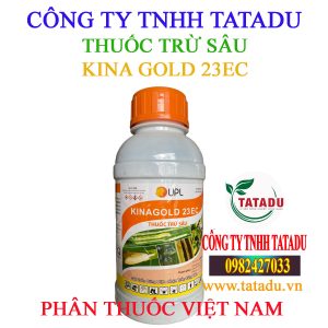 KINA GOLD 23EC