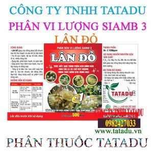 LAN DO 2