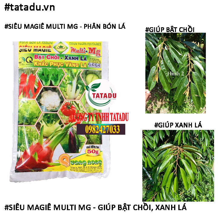 SIEU MAGIE MULTI MG BAT CHOI SIEU MAGIE MULTI MG BAT CHOI