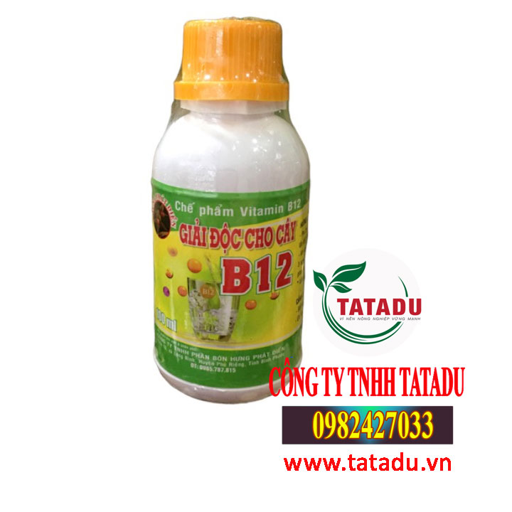 VITAMIN B12