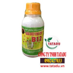 VITAMIN B12