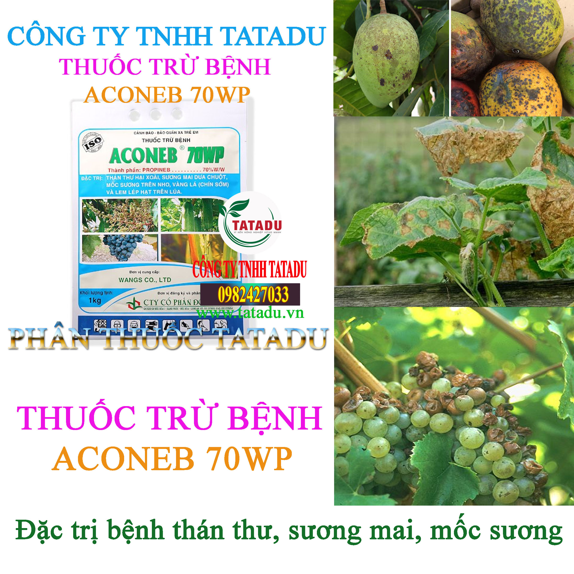 ACONEB 70WP than thu ACONEB 70WP than thu