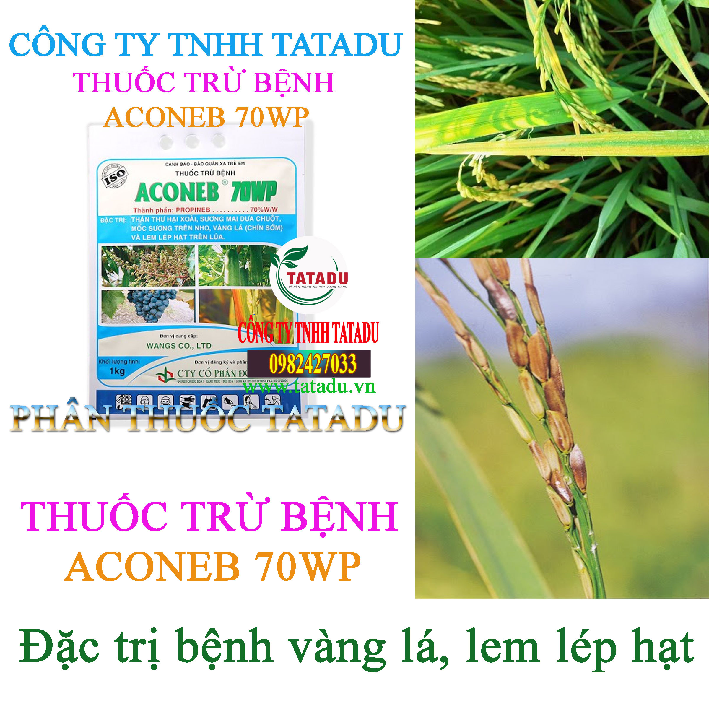ACONEB 70WP vang la ACONEB 70WP vang la
