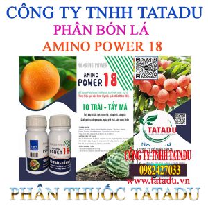 AMINO POWER 18
