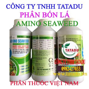 AMINO SEAWEED