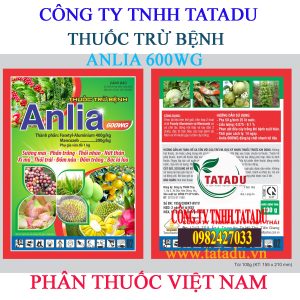 ANLIA 600WG GOI 100GR