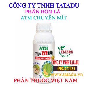 ATM CHUYEN MIT