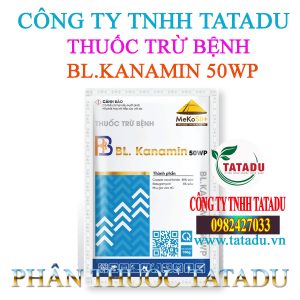 BL.KANAMIN 50WP