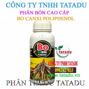 BO CANXI POLIPHENOL