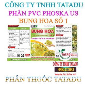 BUNG HOA SO 1