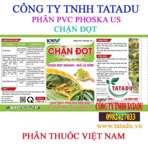 CHAN DOT SAU RIENG