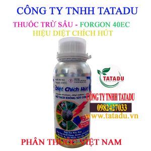 DIET CHICH HUT