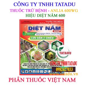 DIET NAM 600