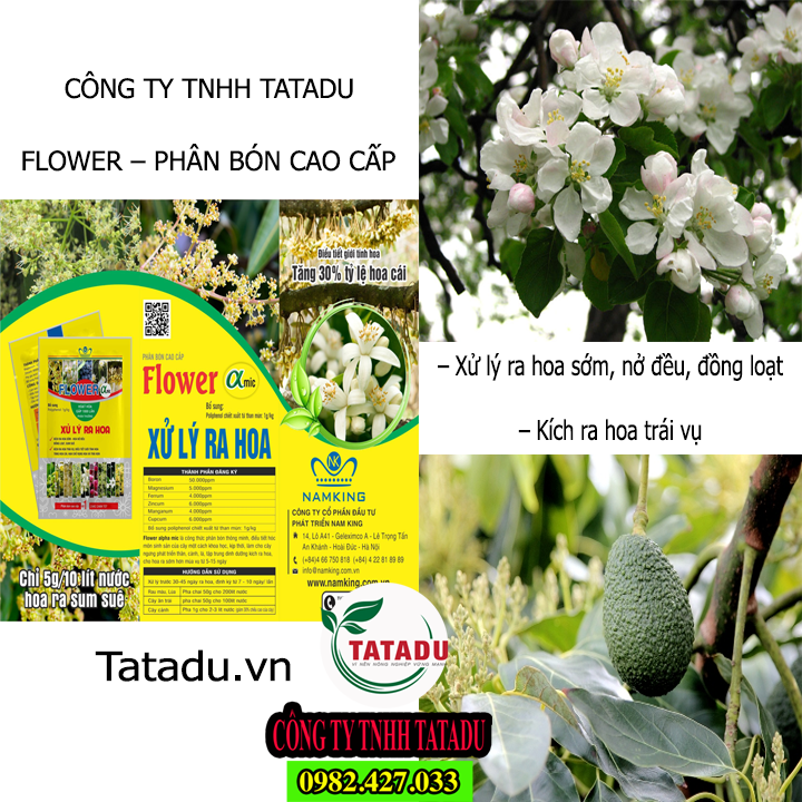 FLOWER TATADU