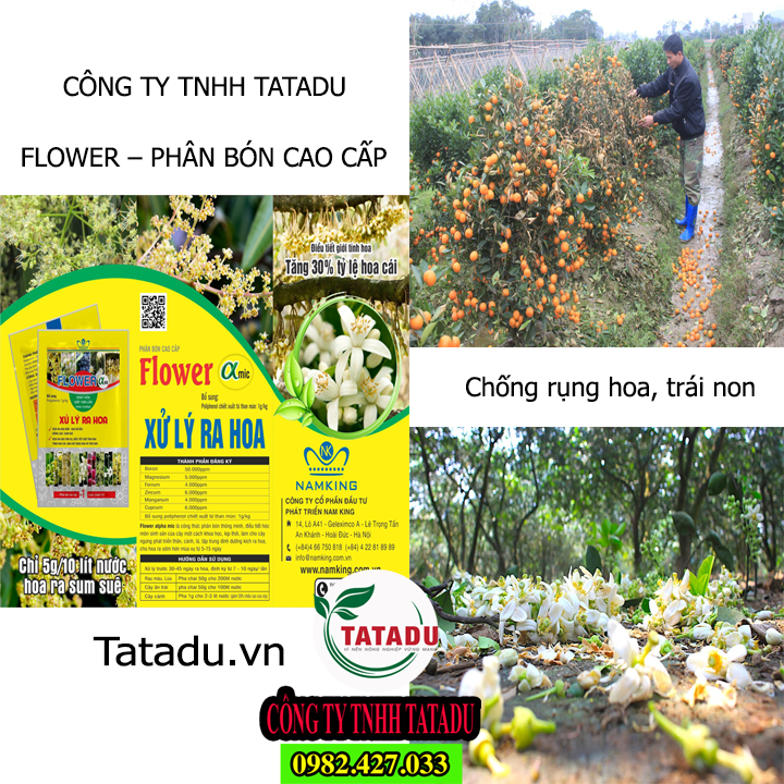 FLOWER TATADU1
