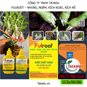 FULROOT VANG