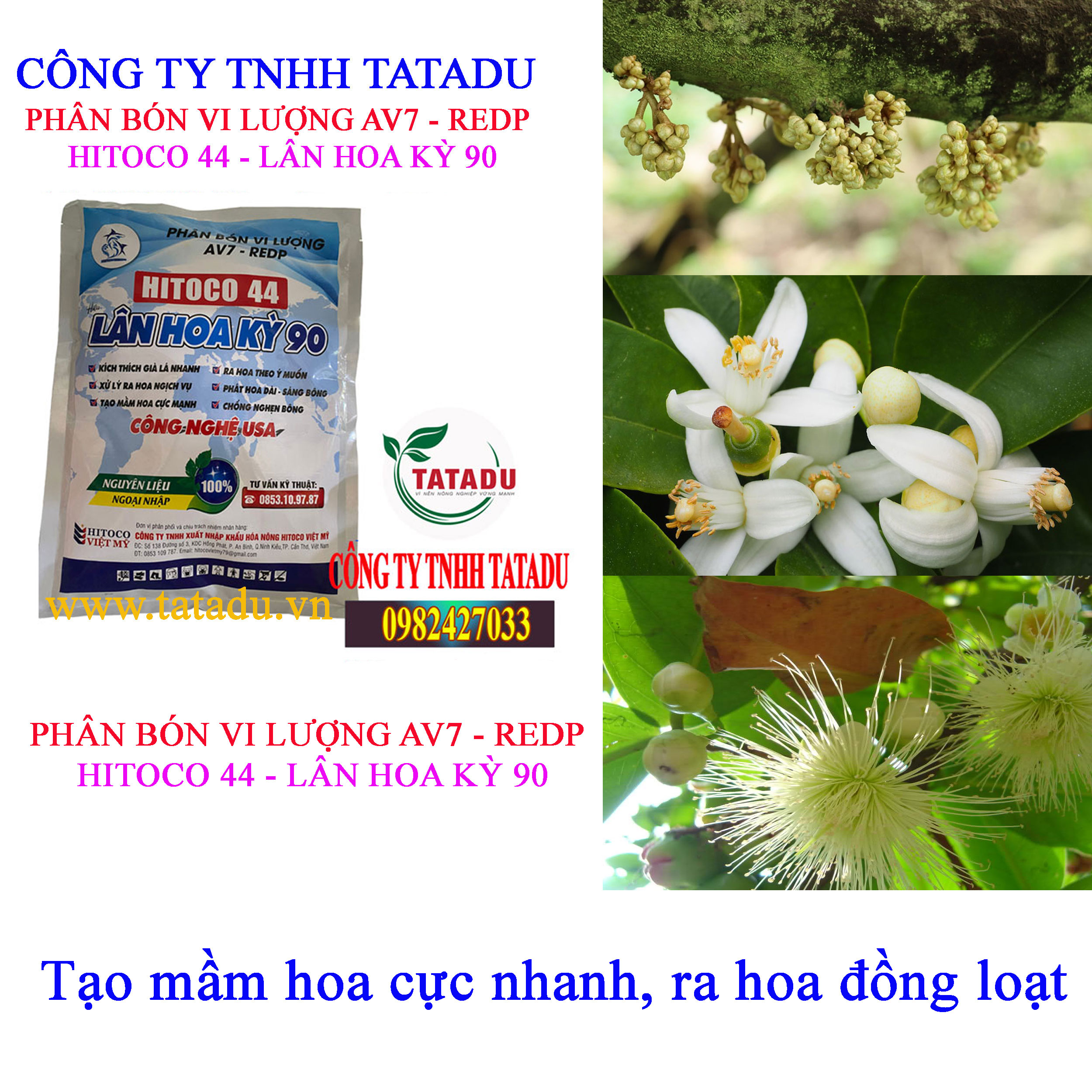 HITOCO 44 tao mam hoa HITOCO 44 tao mam hoa