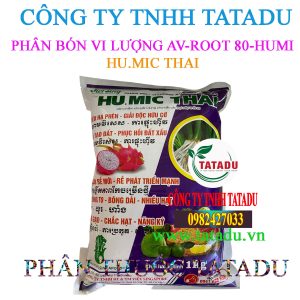 HU.MIC THAI