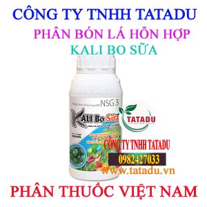 KALI BO SUA