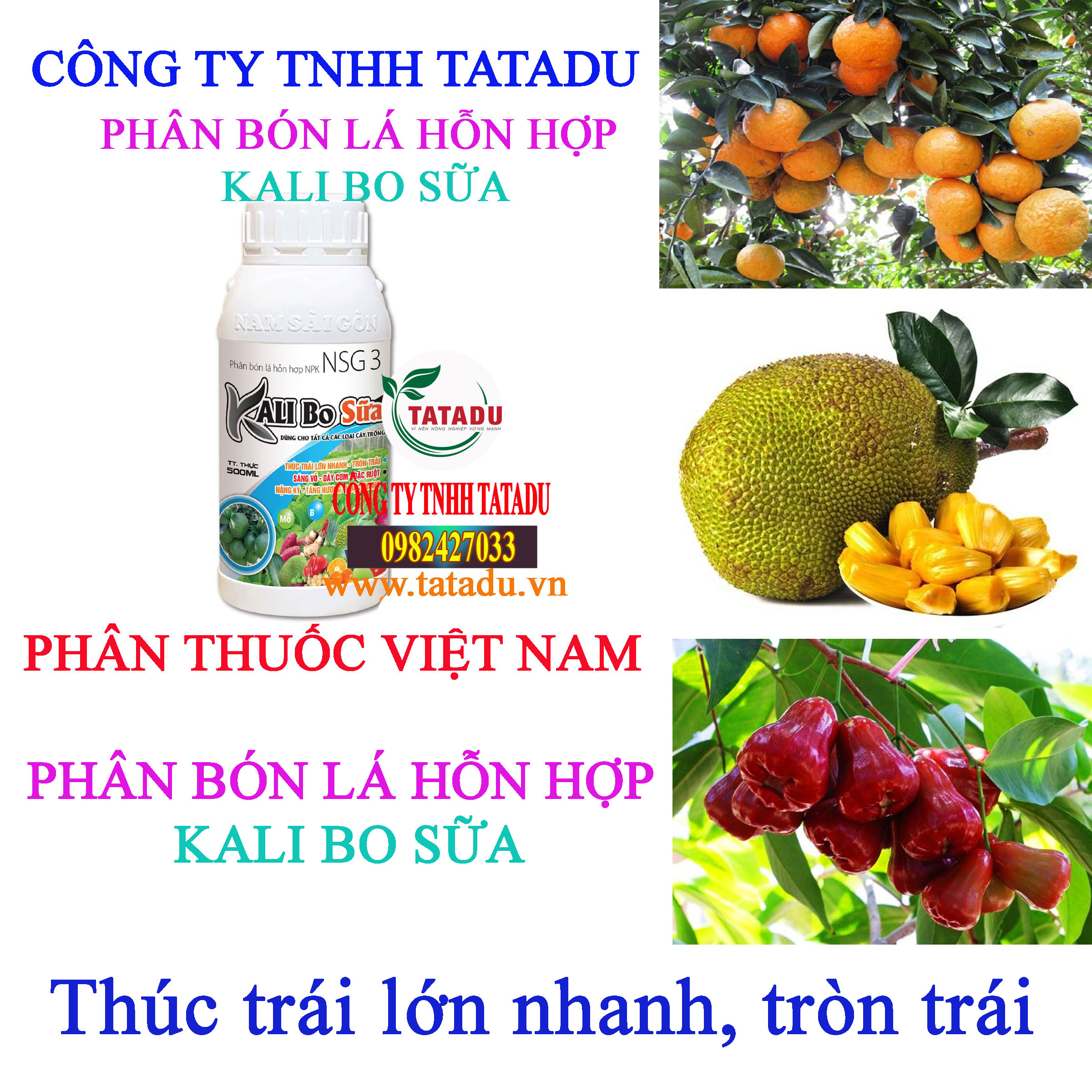 KALI BO SUA tron trai KALI BO SUA tron trai