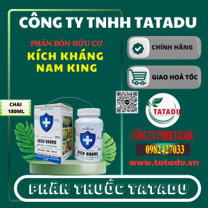 KICH KHANG NAM KING