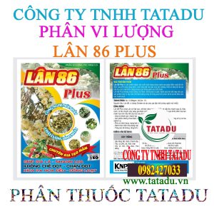 LAN 86 PLUS