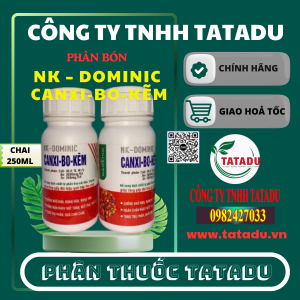 NK – DOMINIC CANXI BO KEM