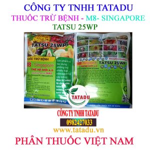 TATSU 25WP