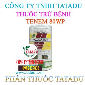TENEM 80WP
