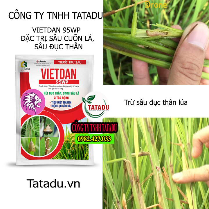 VIETDAN TATADU VIETDAN TATADU