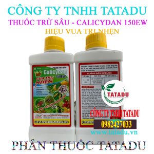 VUA TRI NHEN